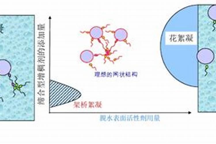 有没有有关鱼胶的具体介绍