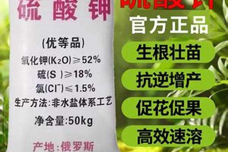 钾肥是什么肥料钾肥能提高苹果的色度吗？
