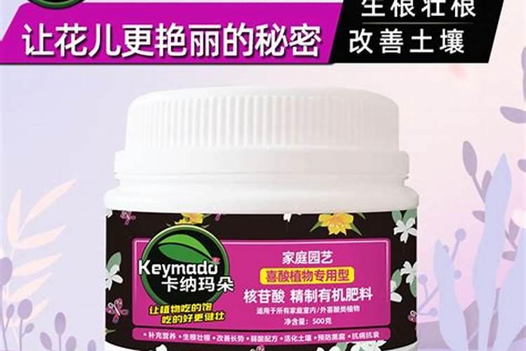 茉莉追肥用什么肥料好？