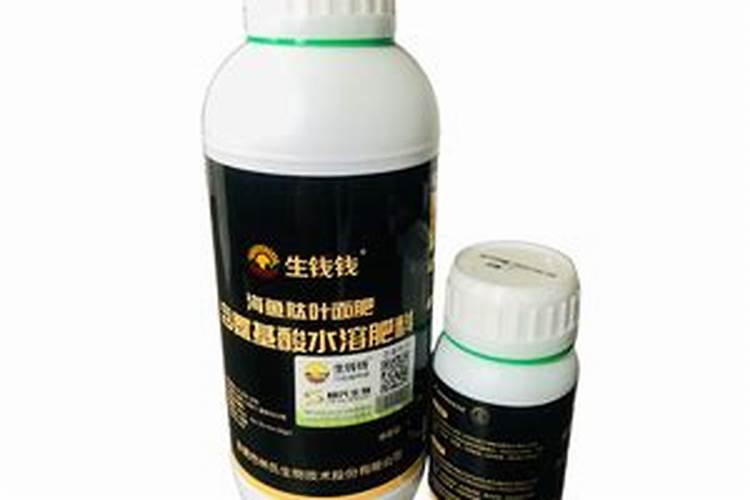 最好的海藻肥排名