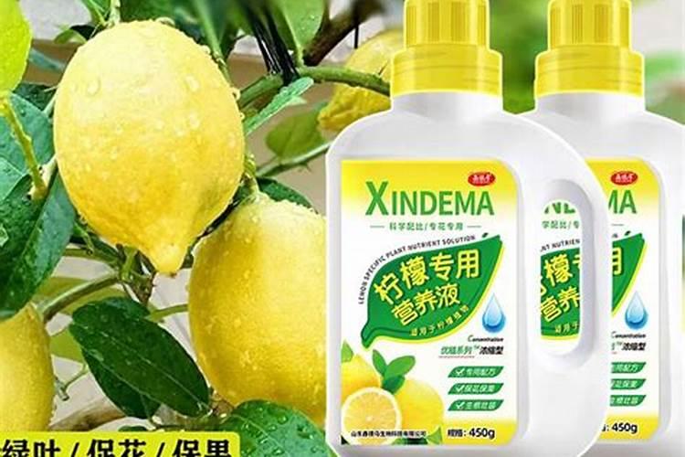云大120和亮盾那个好