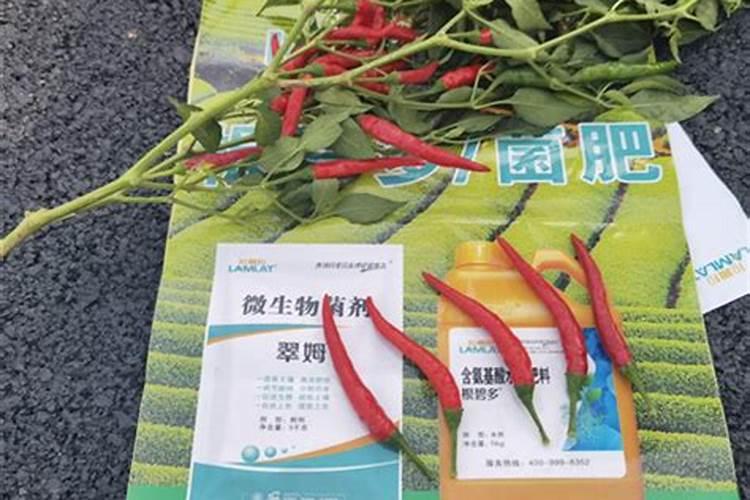 盐湖钾肥价格盐湖钾肥为什么亏损