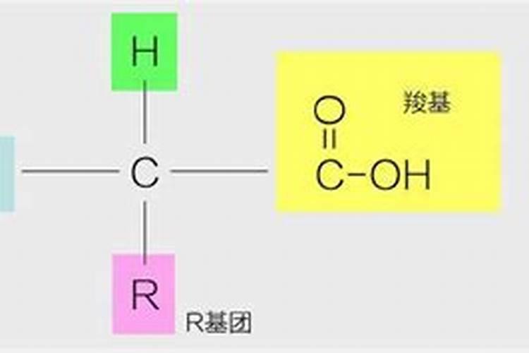 氮肥是什么