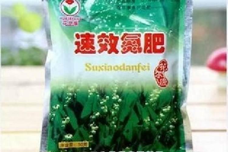 大蒜什么时候施肥最好