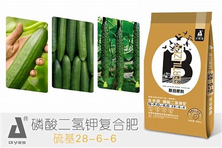 自然界中,已知含钙量最高的食物是什么