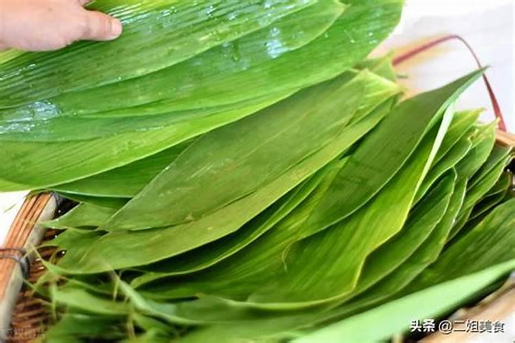 冬季种植什么蔬菜,适合冬季种植蔬菜有哪些？