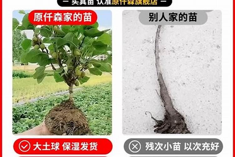 硼砂,硫酸锰,硫酸铜,硫酸锌与氮磷钾混合用吗