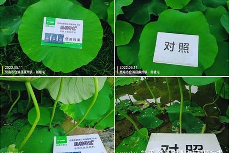 桃树打硫酸锌花前打好还是花后打？