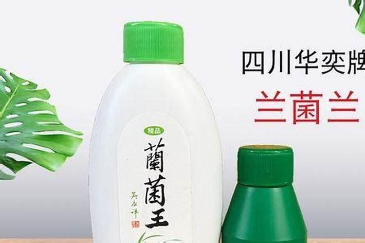 柑橘幼树冲施肥用哪款比较好,能让根系长得更粗壮的。
