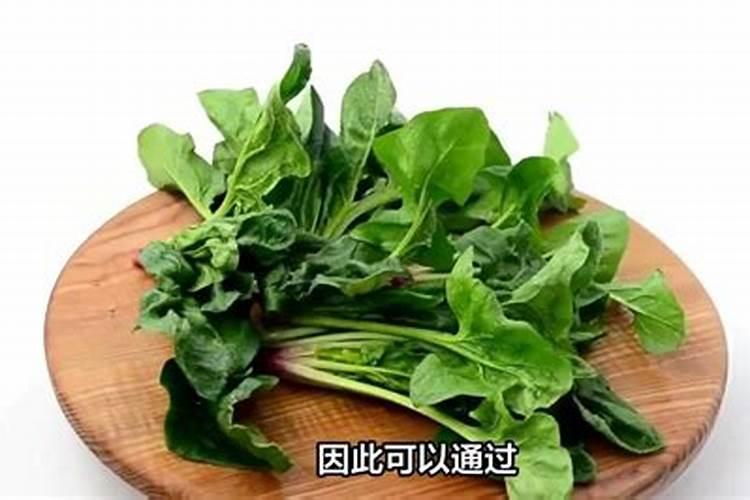 种植蔬菜使用生根粉的方法