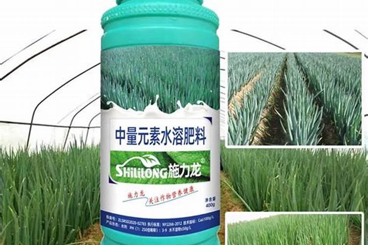 锌肥在玉米上怎样使用