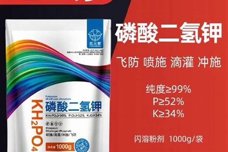 三叶梅不开花怎么办 四个步骤教会你