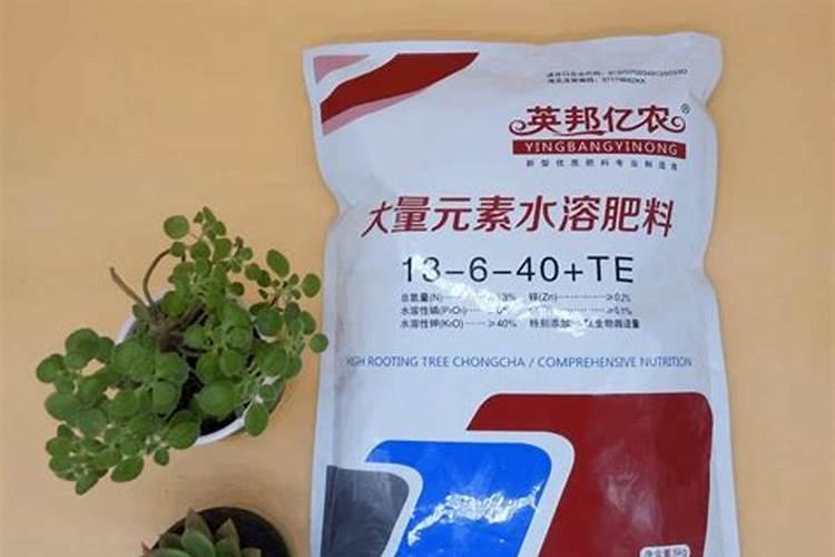 玫瑰花可以施酵素肥吗