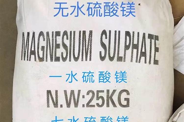 黄瓜怎么育苗的方法