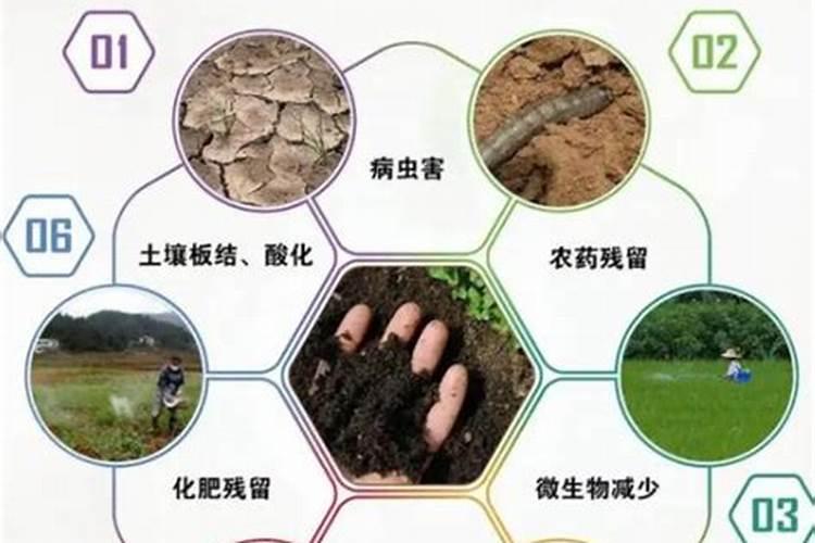 黄瓜施肥的正确方法,施什么肥好