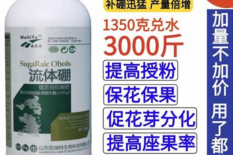 果树叶面喷施硼肥的最佳时间
