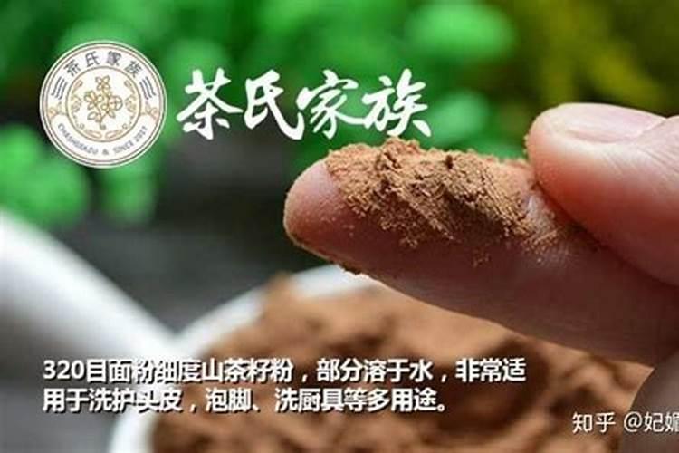 玫瑰花叶片上可否喷水？