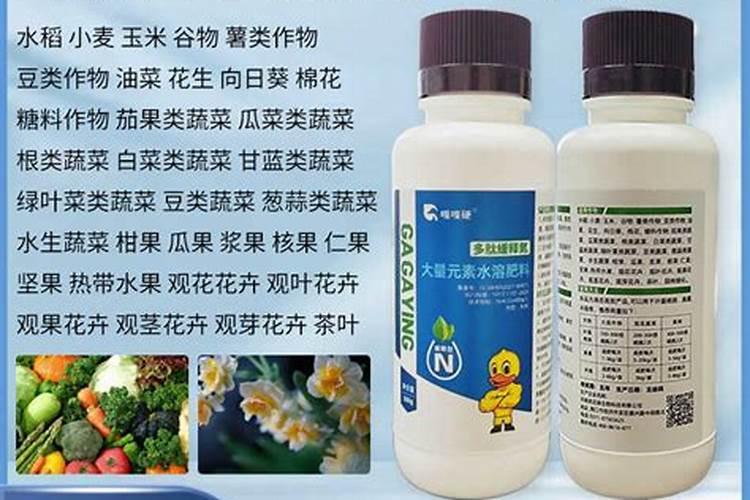 有机肥能不能直接拿来当土用
