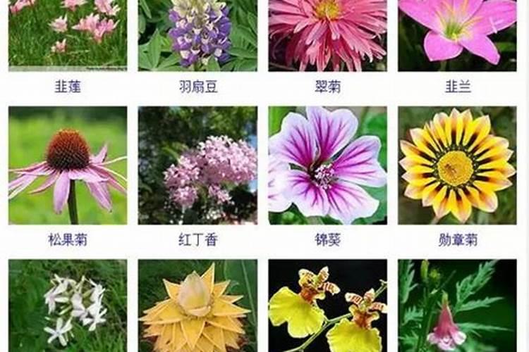 种菜用硫酸铵对人体有害吗