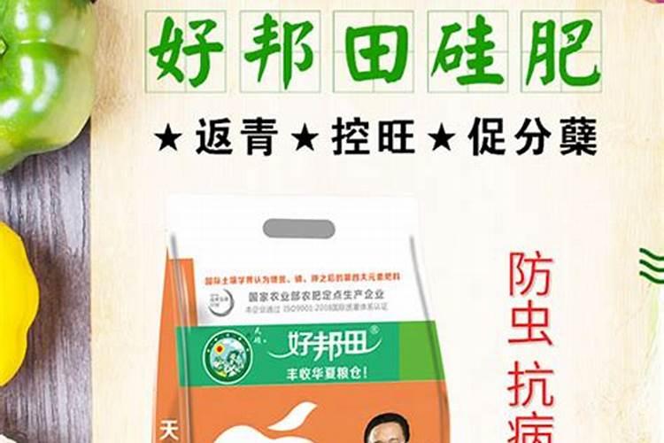 红薯底肥最佳配方