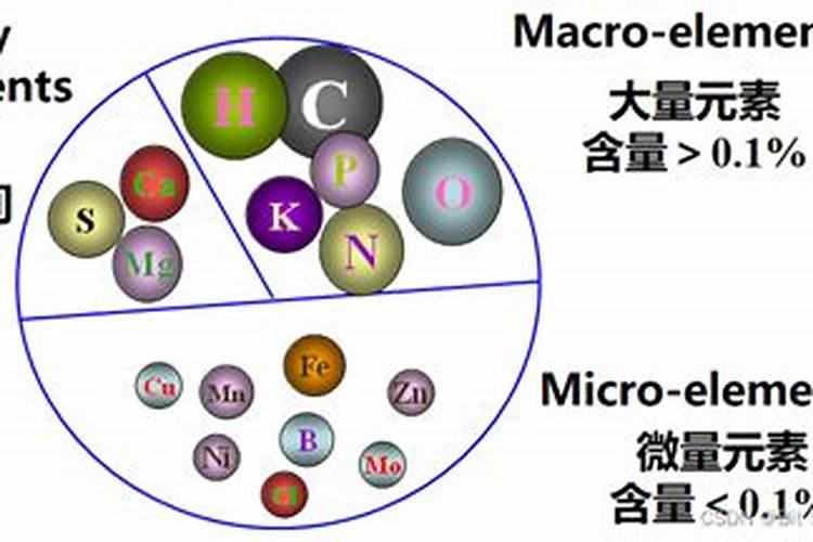氮肥的作用有哪些