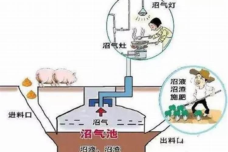 氮肥施用方法及注意事项 氮肥使用过程中注意5大问题