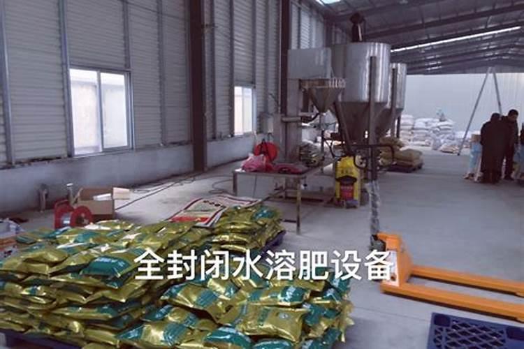 蟹爪兰能用草木灰吗？