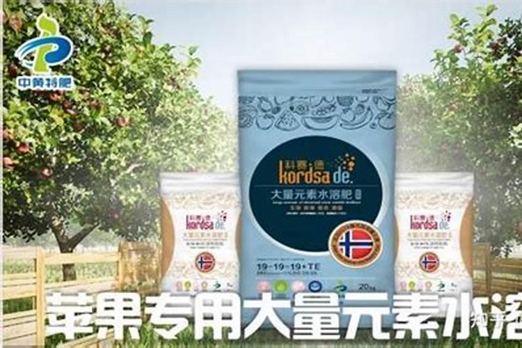 茶花怎么进行施肥植株枝繁叶茂开花多
