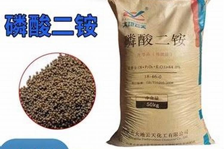 磷酸二铵与硝酸磷肥哪个好
