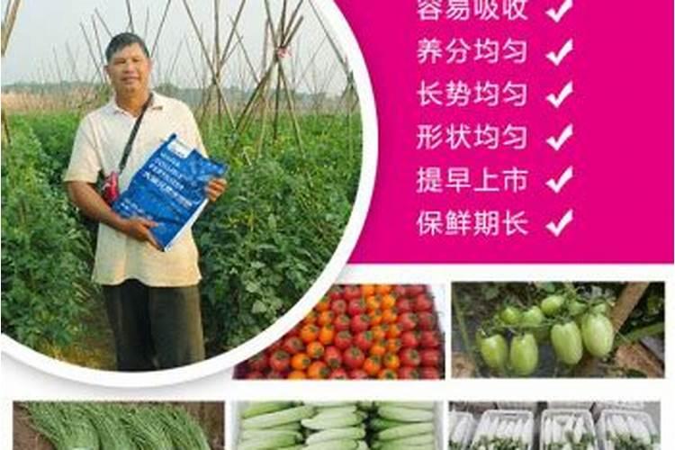 水溶肥排行榜