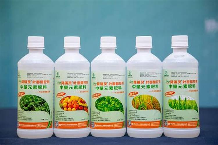发酵菌种生物有机肥的优点