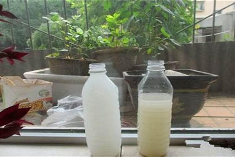 淘米水是氮肥还是磷肥？