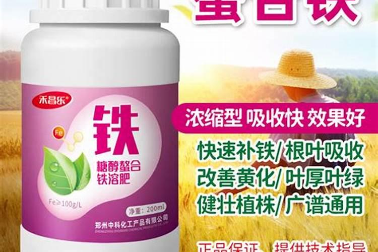 西红柿叶子发黄怎么治