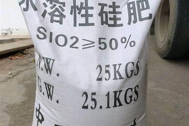 什么药能治桃树穿孔病