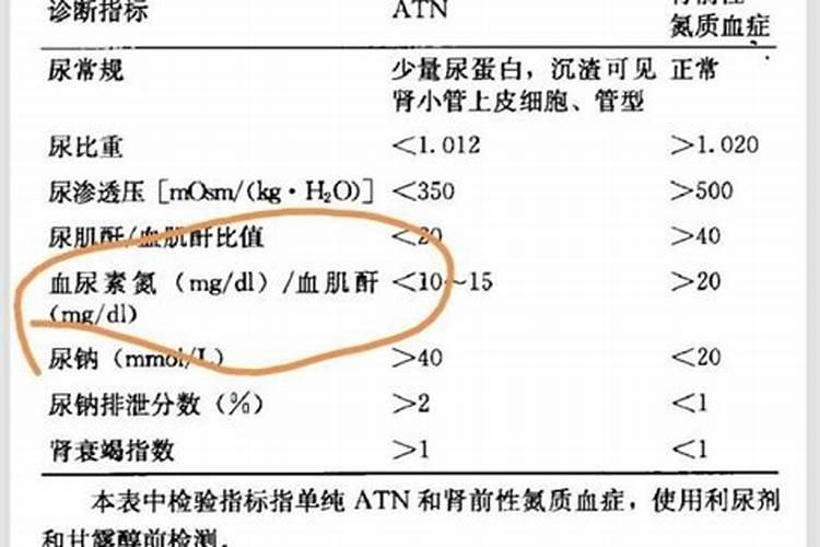 尿素是硝态氮肥还是铵态氮肥