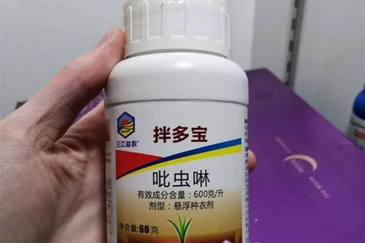 如何用芸苔素拌玉米种