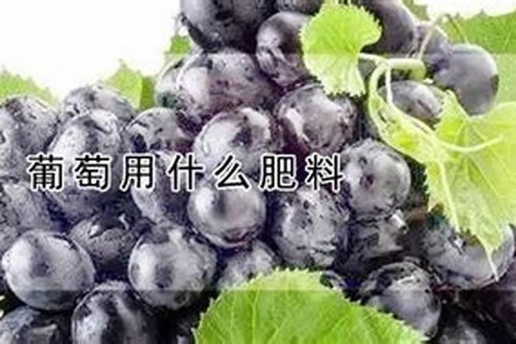 氮肥作物氮素