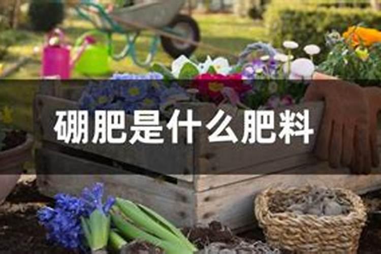 颗粒硼肥的正确使用方法