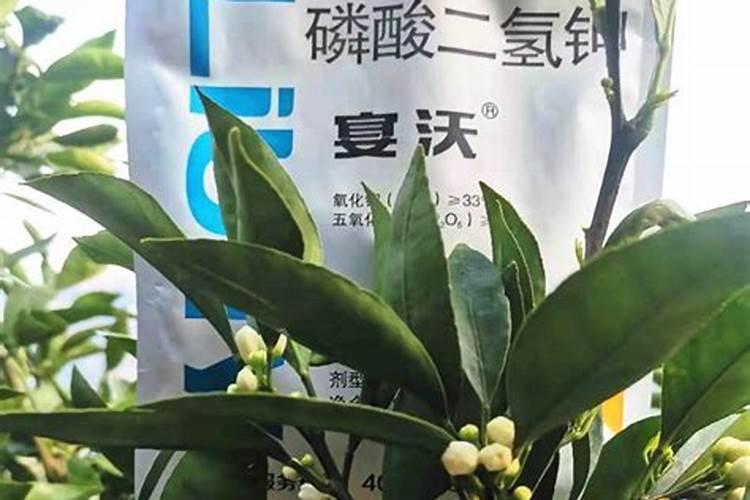 化学中是不是磷遇水就着火