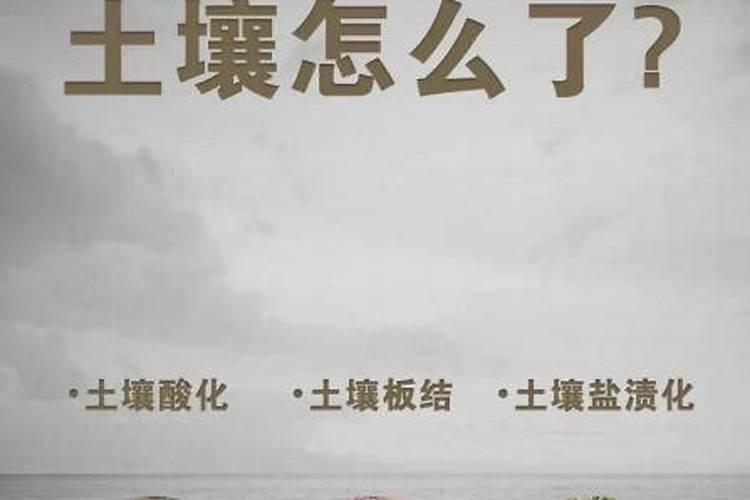 土壤酸化、板结,越种越没劲,种的蔬菜成活率很低怎么办？