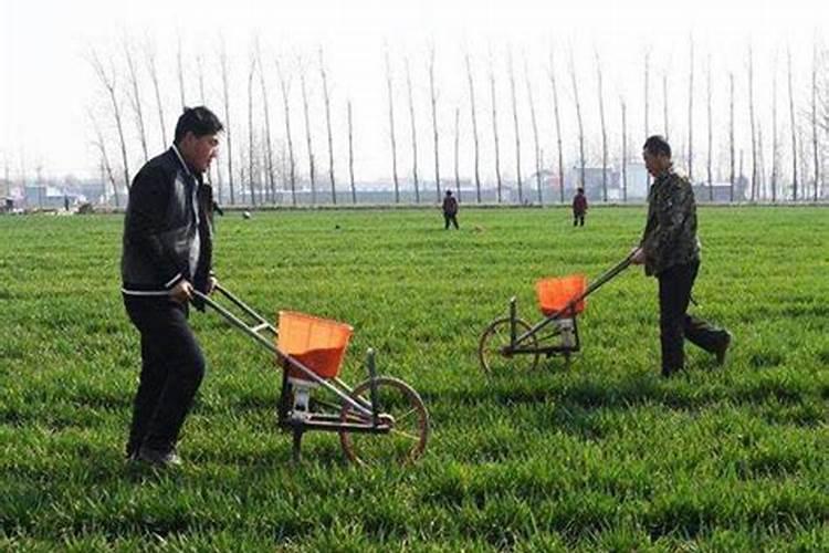 天水羲皇生物科技有限公司主营产品
