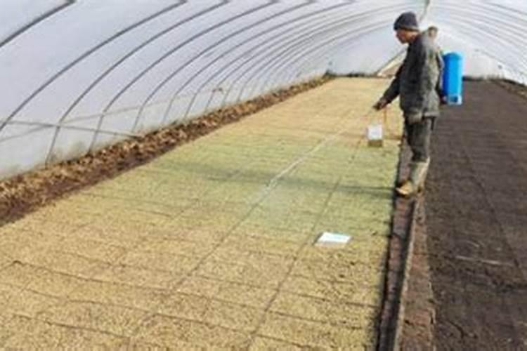 天水羲皇生物科技有限公司公司简介