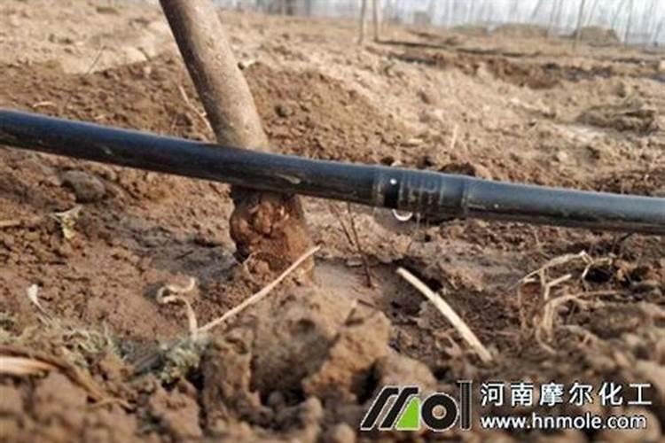 如何控制苹果滴管施肥浓度