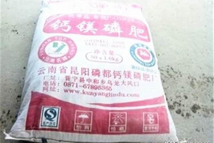 高磷肥料有哪些 什么是高磷肥
