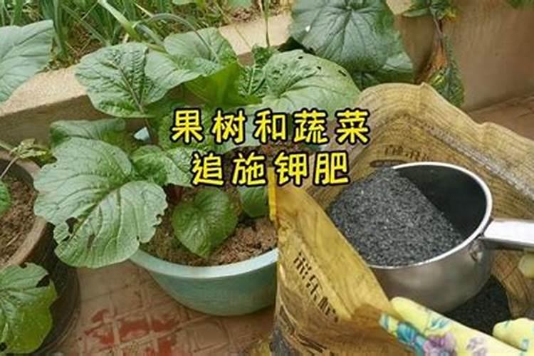 磷肥对果树的作用是什么