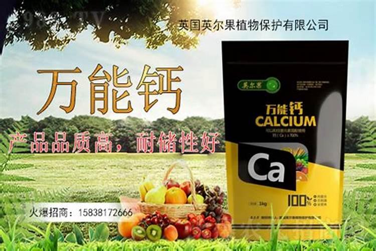 种玉米施底肥用啥肥料最好