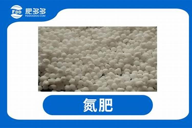 钙镁硼锌铁叶面肥啥时用最好