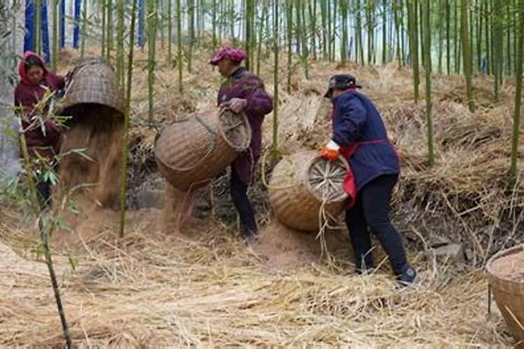 农用硼砂使用方法,钙镁硼锌肥怎样使用