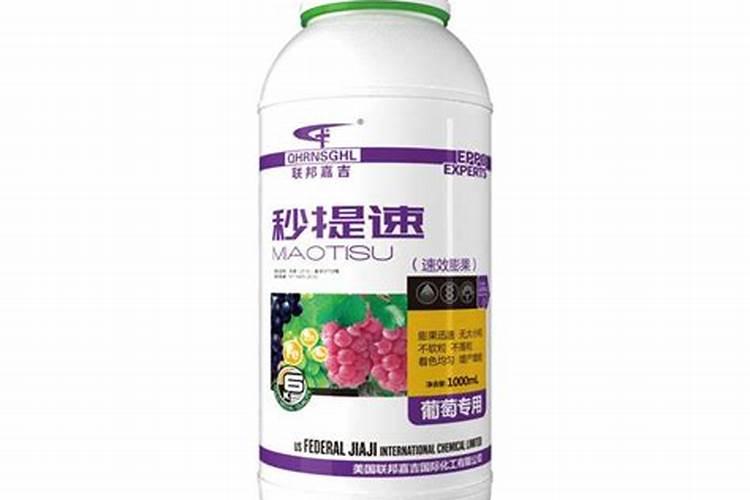 水溶肥在果树上几天能吸收