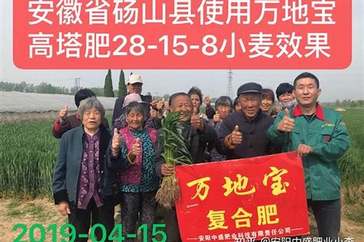 什么树不能打石硫合剂